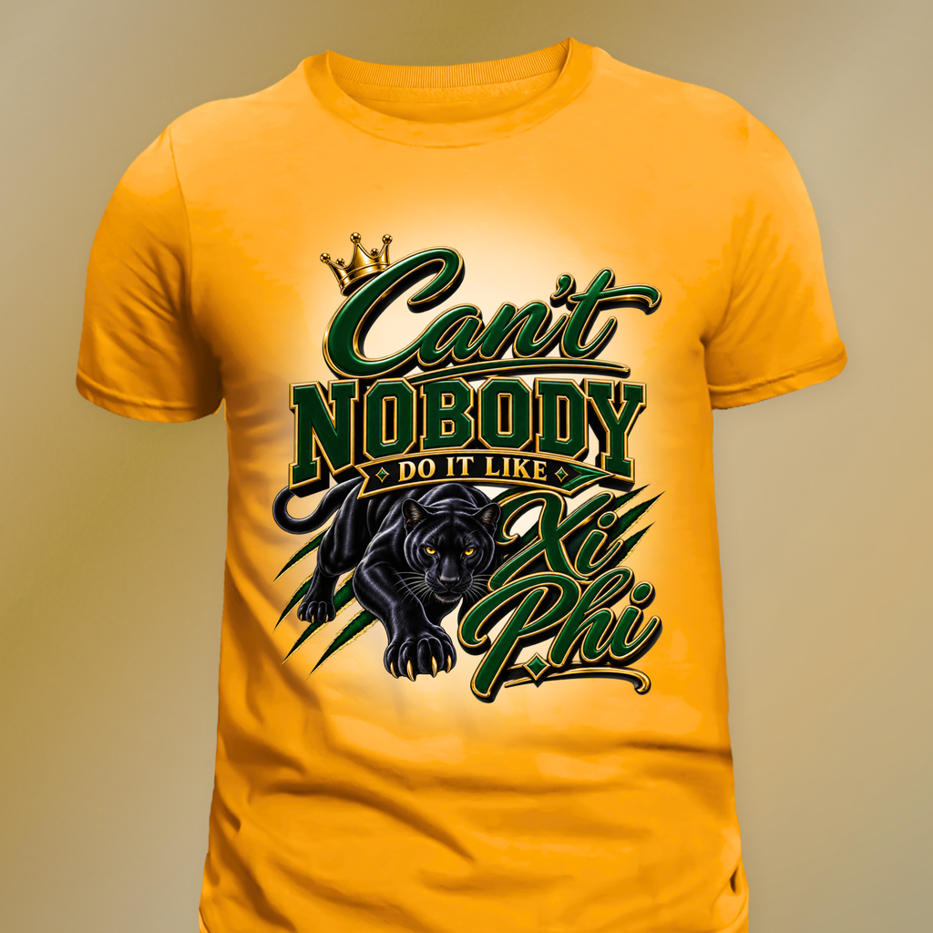 Can’t Nobody Do It Like Xi Phi Tee
